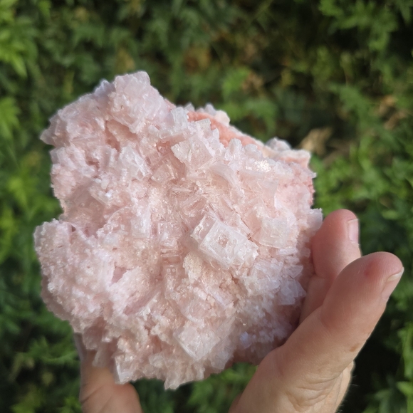 Halite Ca - Picture 3 of 5